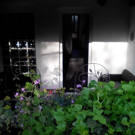 Apartment Poropat Пореч Номер фото